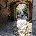 IMG_2469