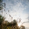 20190719-194159-LOE_8985