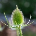 20190719-195426-LOE_8988