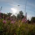 20190720-185605-LOE_9010