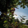 20190720-185905-LOE_9011